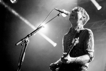 the wombats